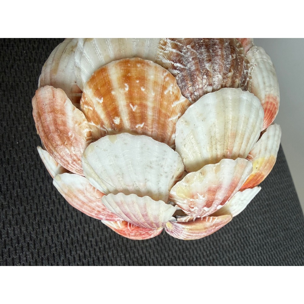 Handmade Natural Scallop Seashell Decorative Orb Sphere 6 in Coastal Beach Home - Picture 6 of 11